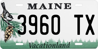 ME license plate 3960TX