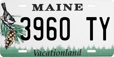 ME license plate 3960TY