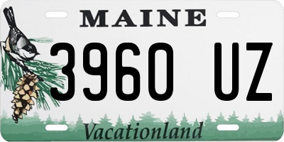 ME license plate 3960UZ