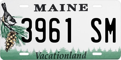 ME license plate 3961SM