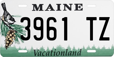 ME license plate 3961TZ