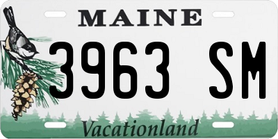 ME license plate 3963SM