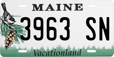 ME license plate 3963SN