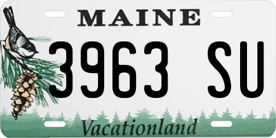 ME license plate 3963SU