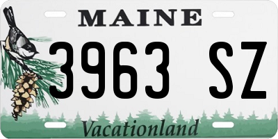 ME license plate 3963SZ