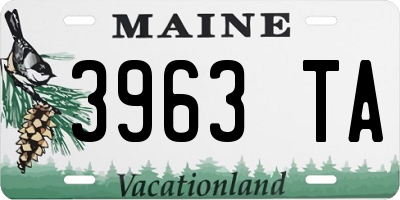 ME license plate 3963TA