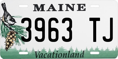 ME license plate 3963TJ