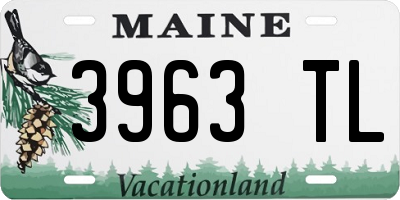 ME license plate 3963TL