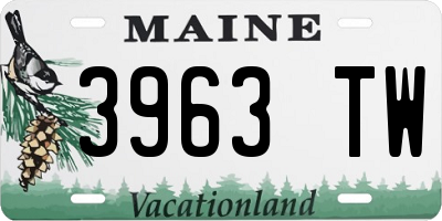 ME license plate 3963TW