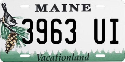 ME license plate 3963UI