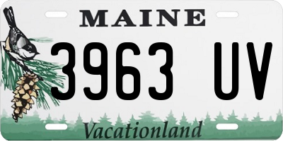 ME license plate 3963UV