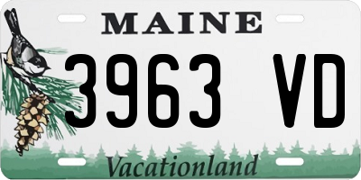 ME license plate 3963VD