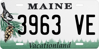ME license plate 3963VE
