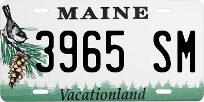 ME license plate 3965SM