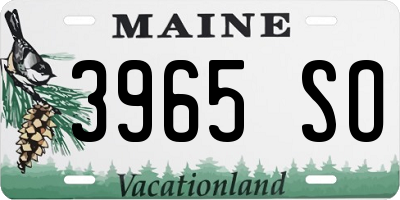 ME license plate 3965SO