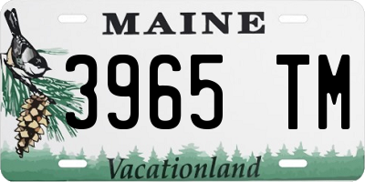 ME license plate 3965TM