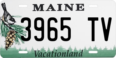 ME license plate 3965TV