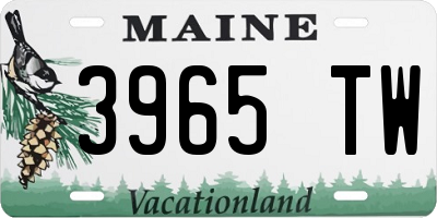 ME license plate 3965TW