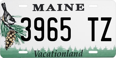 ME license plate 3965TZ