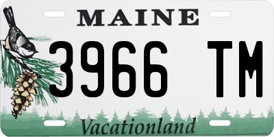 ME license plate 3966TM