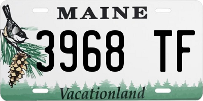 ME license plate 3968TF
