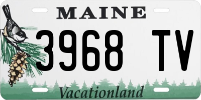 ME license plate 3968TV