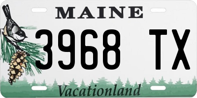 ME license plate 3968TX