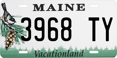 ME license plate 3968TY