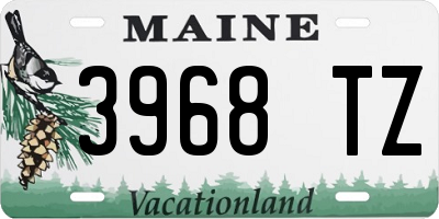 ME license plate 3968TZ