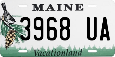 ME license plate 3968UA