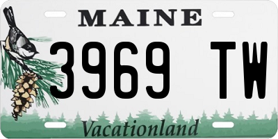 ME license plate 3969TW