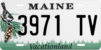 ME license plate 3971TV