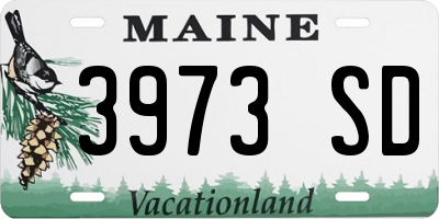 ME license plate 3973SD