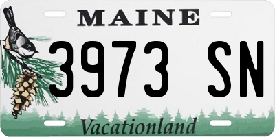 ME license plate 3973SN