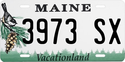 ME license plate 3973SX