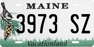 ME license plate 3973SZ