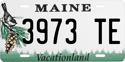 ME license plate 3973TE
