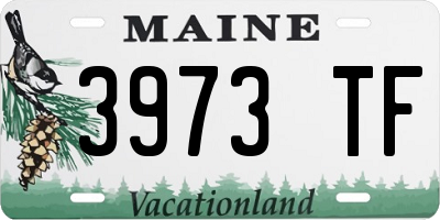 ME license plate 3973TF