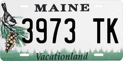 ME license plate 3973TK