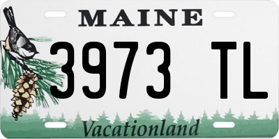 ME license plate 3973TL