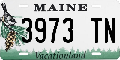 ME license plate 3973TN