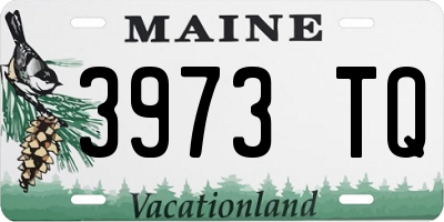 ME license plate 3973TQ