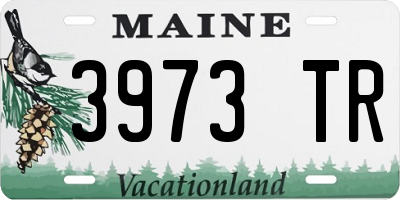 ME license plate 3973TR