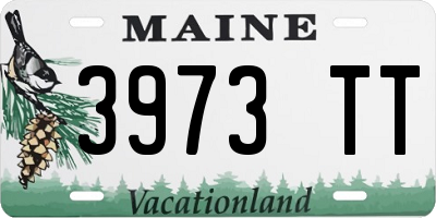 ME license plate 3973TT