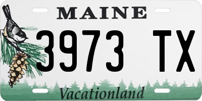 ME license plate 3973TX