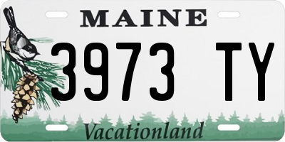 ME license plate 3973TY