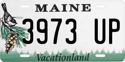ME license plate 3973UP