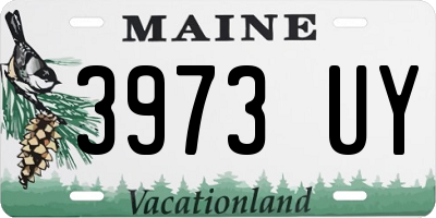 ME license plate 3973UY