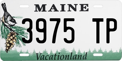 ME license plate 3975TP