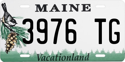 ME license plate 3976TG